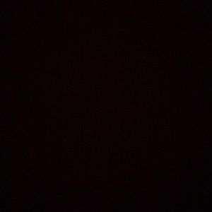 Meet your Posher, Daisy